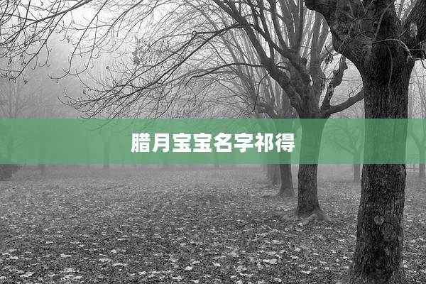 腊月宝宝名字祁得