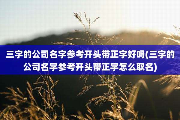 三字的公司名字参考开头带正字好吗(三字的公司名字参考开头带正字怎么取名)