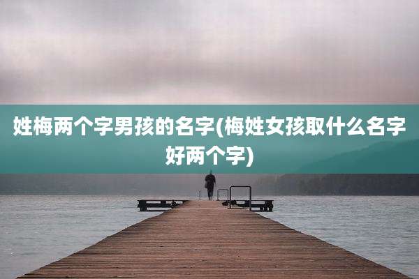 姓梅两个字男孩的名字(梅姓女孩取什么名字好两个字)