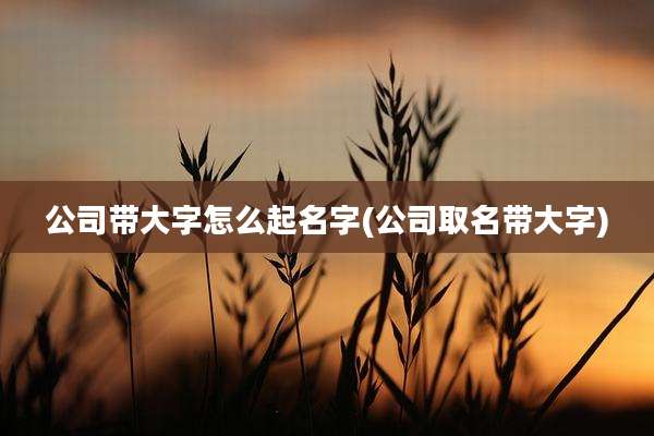 公司带大字怎么起名字(公司取名带大字)