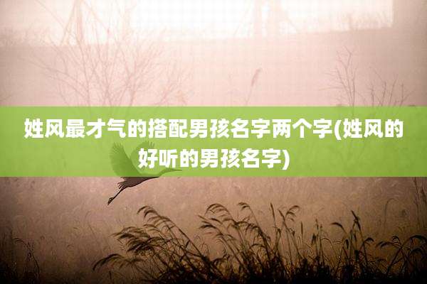 姓风最才气的搭配男孩名字两个字(姓风的好听的男孩名字)