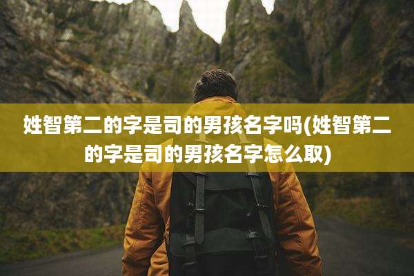 姓智第二的字是司的男孩名字吗(姓智第二的字是司的男孩名字怎么取)
