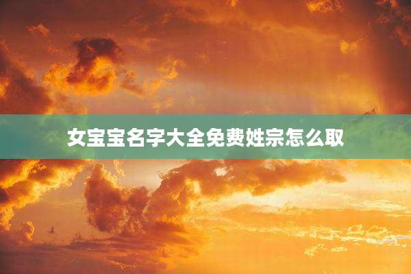 女宝宝名字大全免费姓宗怎么取