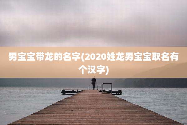 男宝宝带龙的名字(2020姓龙男宝宝取名有个汉字)