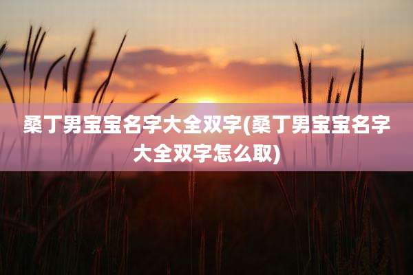 桑丁男宝宝名字大全双字(桑丁男宝宝名字大全双字怎么取)