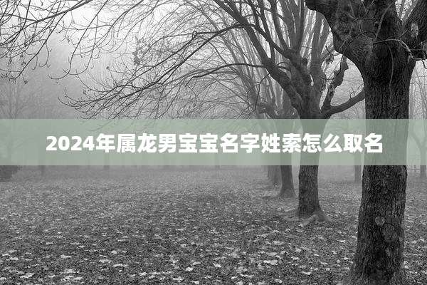 2024年属龙男宝宝名字姓索怎么取名