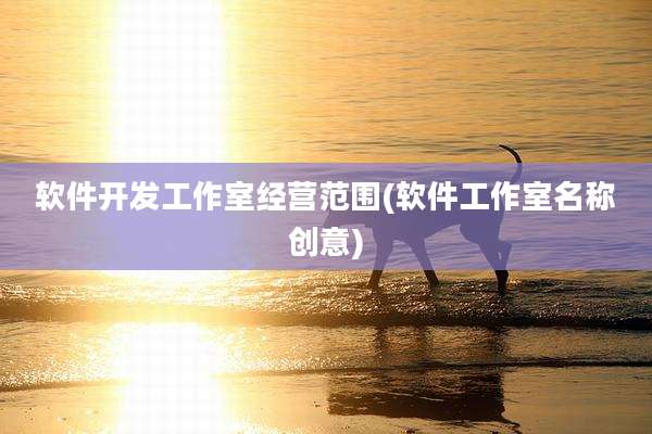 软件开发工作室经营范围(软件工作室名称创意)