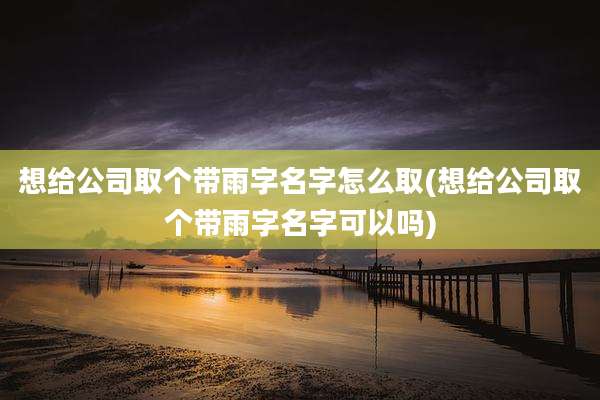 想给公司取个带雨字名字怎么取(想给公司取个带雨字名字可以吗)