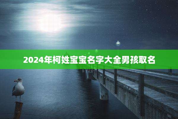 2024年柯姓宝宝名字大全男孩取名