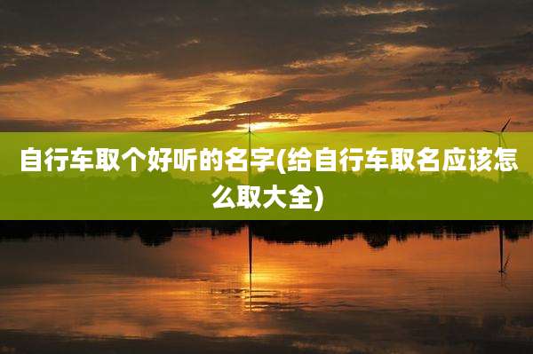 自行车取个好听的名字(给自行车取名应该怎么取大全)