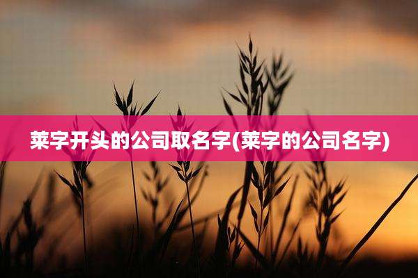 莱字开头的公司取名字(莱字的公司名字)