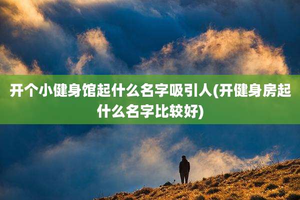 开个小健身馆起什么名字吸引人(开健身房起什么名字比较好)