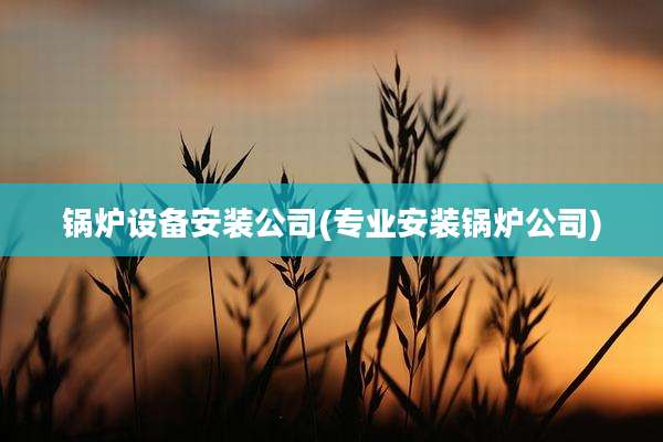 锅炉设备安装公司(专业安装锅炉公司)