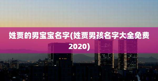 姓贾的男宝宝名字(姓贾男孩名字大全免费2020)