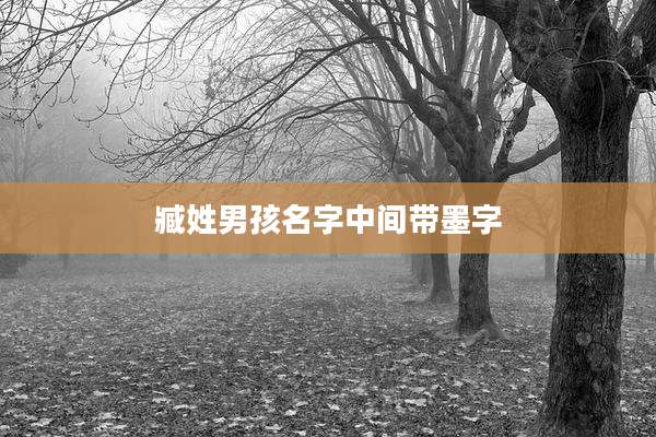 臧姓男孩名字中间带墨字