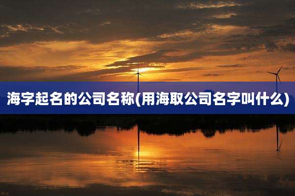 海字起名的公司名称(用海取公司名字叫什么)
