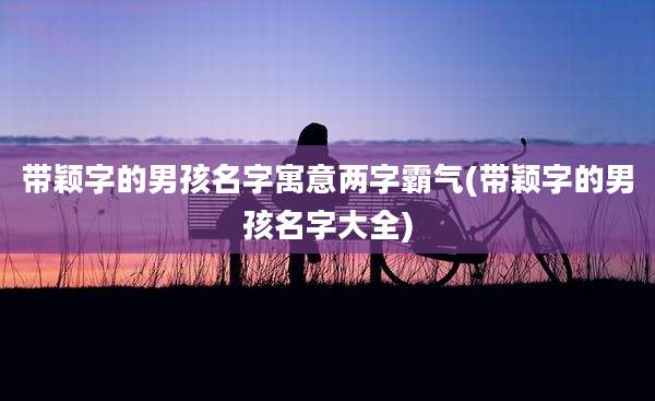 带颖字的男孩名字寓意两字霸气(带颖字的男孩名字大全)