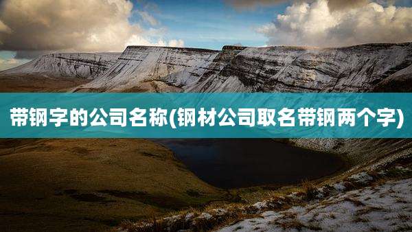 带钢字的公司名称(钢材公司取名带钢两个字)