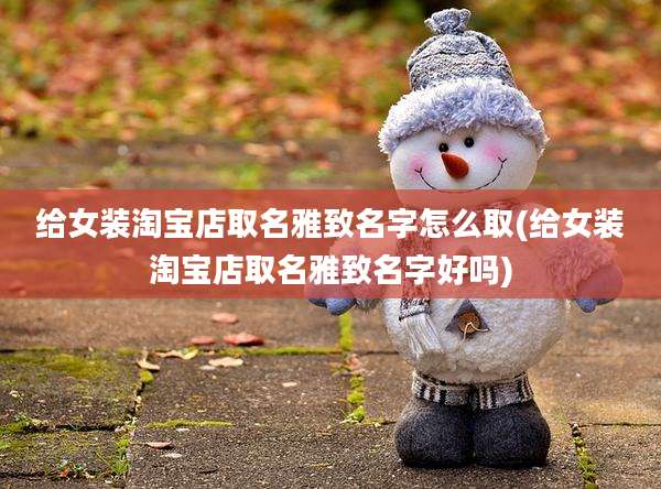 给女装淘宝店取名雅致名字怎么取(给女装淘宝店取名雅致名字好吗)