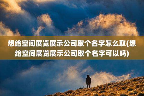 想给空间展览展示公司取个名字怎么取(想给空间展览展示公司取个名字可以吗)