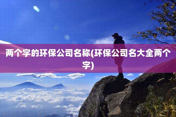 两个字的环保公司名称(环保公司名大全两个字)