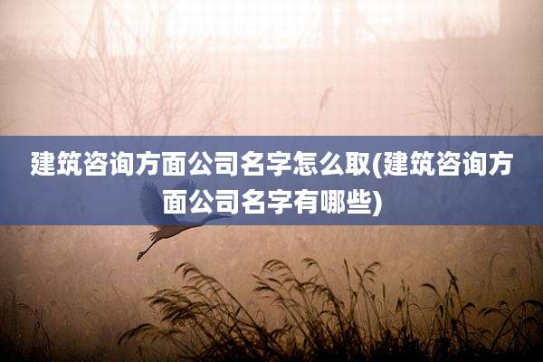 建筑咨询方面公司名字怎么取(建筑咨询方面公司名字有哪些)