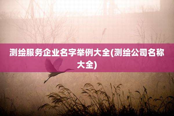 测绘服务企业名字举例大全(测绘公司名称大全)