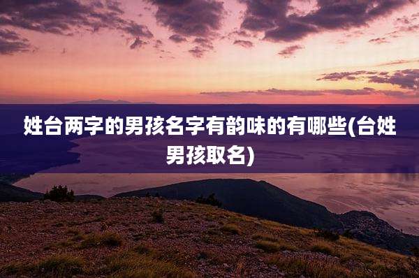 姓台两字的男孩名字有韵味的有哪些(台姓男孩取名)