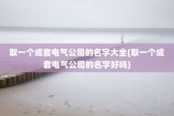 取一个成套电气公司的名字大全(取一个成套电气公司的名字好吗)