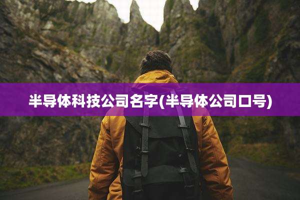半导体科技公司名字(半导体公司口号)