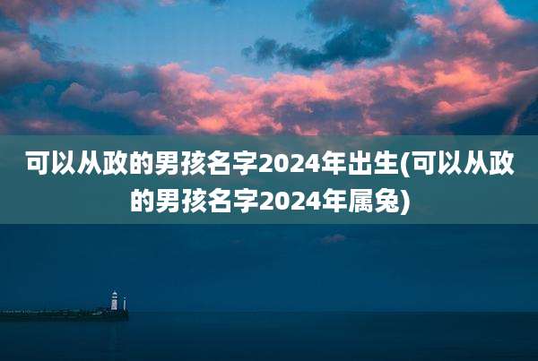 可以从政的男孩名字2024年出生(可以从政的男孩名字2024年属兔)