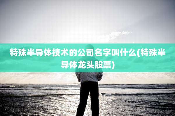 特殊半导体技术的公司名字叫什么(特殊半导体龙头股票)