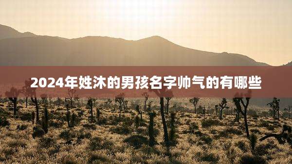 2024年姓沐的男孩名字帅气的有哪些
