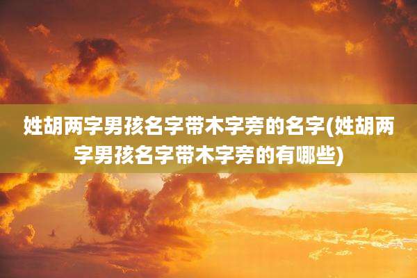 姓胡两字男孩名字带木字旁的名字(姓胡两字男孩名字带木字旁的有哪些)