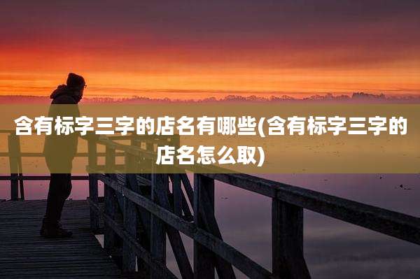 含有标字三字的店名有哪些(含有标字三字的店名怎么取)