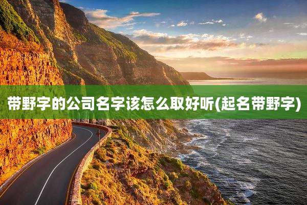 带野字的公司名字该怎么取好听(起名带野字)