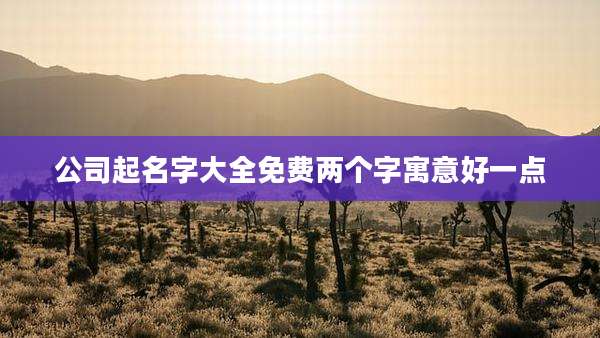 公司起名字大全免费两个字寓意好一点