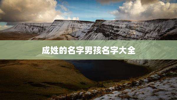 成姓的名字男孩名字大全