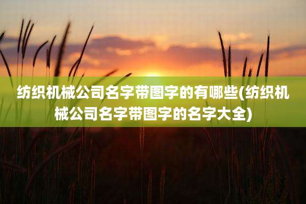 纺织机械公司名字带图字的有哪些(纺织机械公司名字带图字的名字大全)