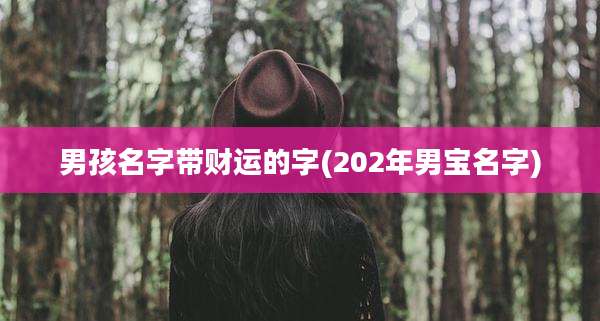 男孩名字带财运的字(202年男宝名字)