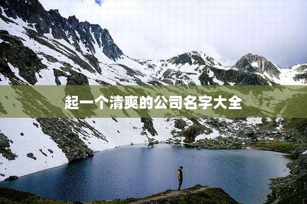 起一个清爽的公司名字大全