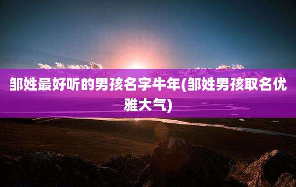邹姓最好听的男孩名字牛年(邹姓男孩取名优雅大气)