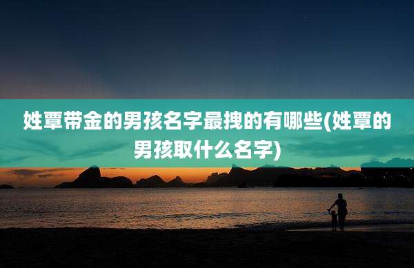 姓覃带金的男孩名字最拽的有哪些(姓覃的男孩取什么名字)