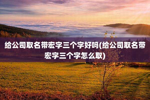 给公司取名带宏字三个字好吗(给公司取名带宏字三个字怎么取)