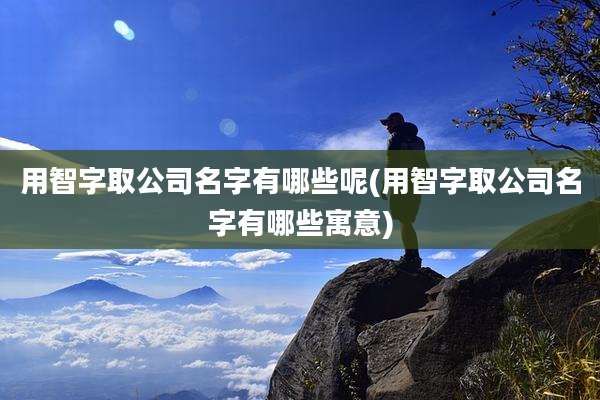 用智字取公司名字有哪些呢(用智字取公司名字有哪些寓意)