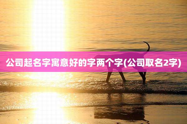 公司起名字寓意好的字两个字(公司取名2字)