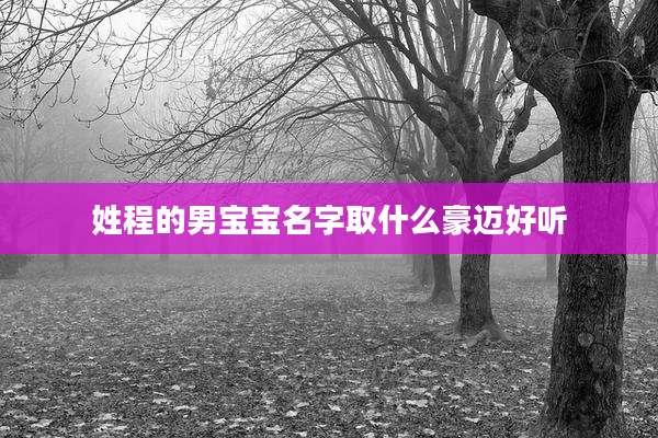 姓程的男宝宝名字取什么豪迈好听