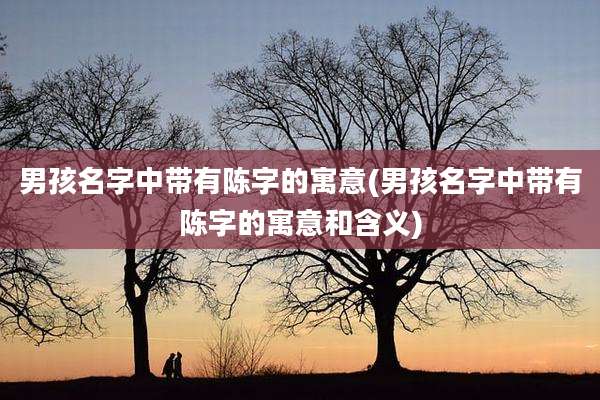 男孩名字中带有陈字的寓意(男孩名字中带有陈字的寓意和含义)
