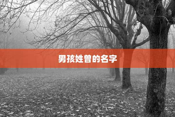 男孩姓曾的名字