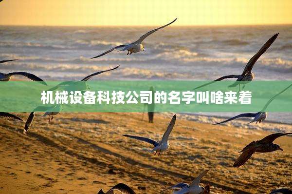 机械设备科技公司的名字叫啥来着